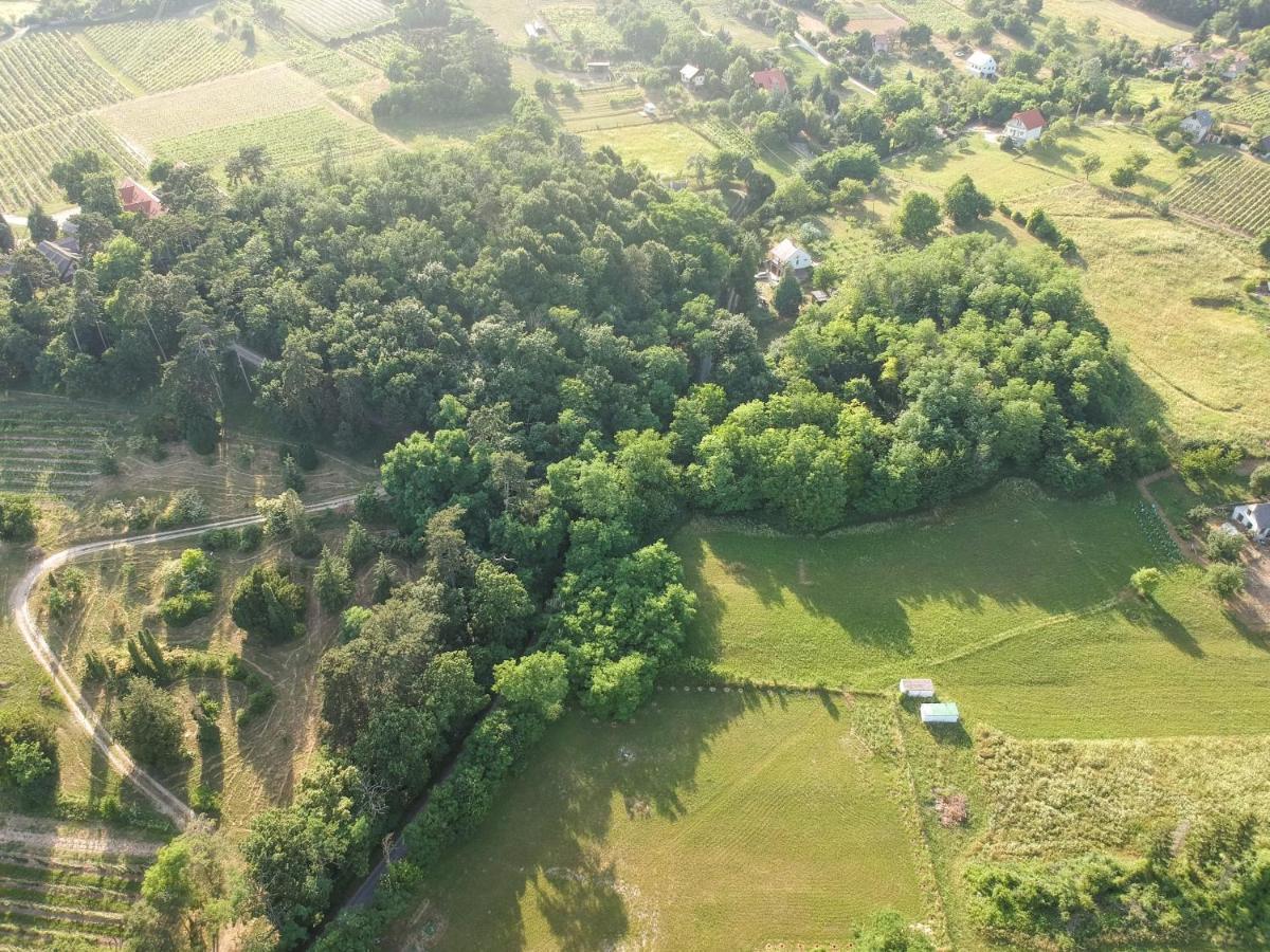 Pilikan Apartments - Park, Agroturism, Vineyard & Farm Cserszegtomaj Εξωτερικό φωτογραφία