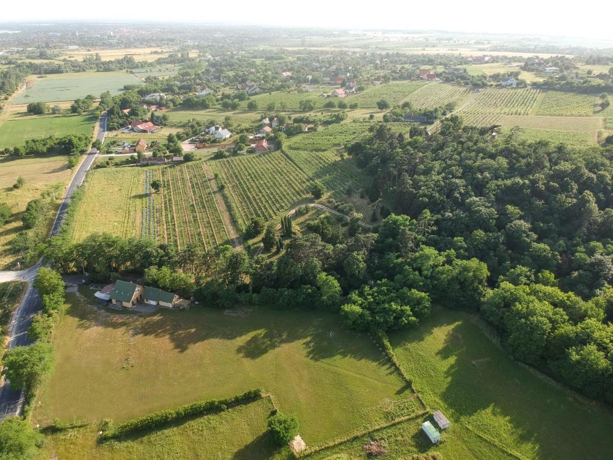 Pilikan Apartments - Park, Agroturism, Vineyard & Farm Cserszegtomaj Εξωτερικό φωτογραφία