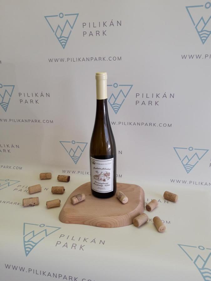 Pilikan Apartments - Park, Agroturism, Vineyard & Farm Cserszegtomaj Εξωτερικό φωτογραφία