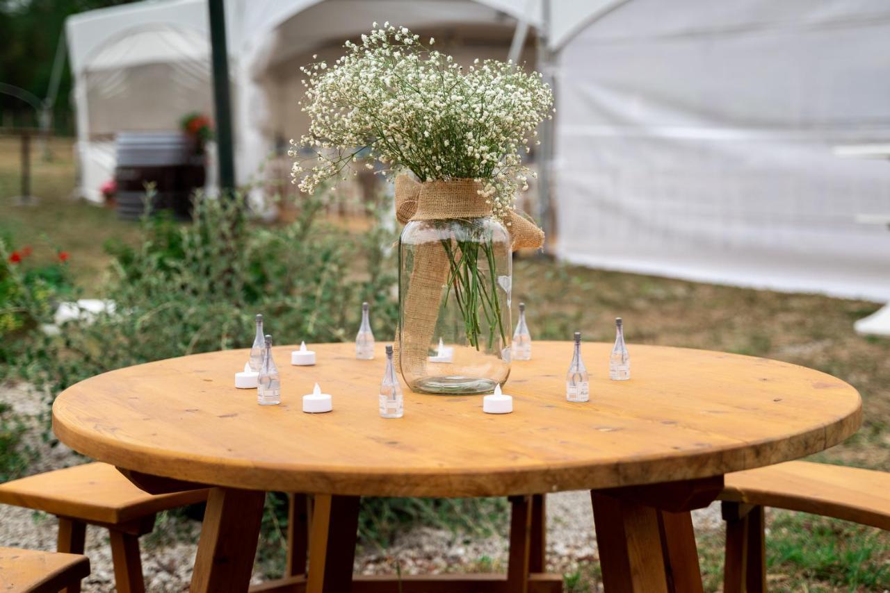Pilikan Apartments - Park, Agroturism, Vineyard & Farm Cserszegtomaj Εξωτερικό φωτογραφία