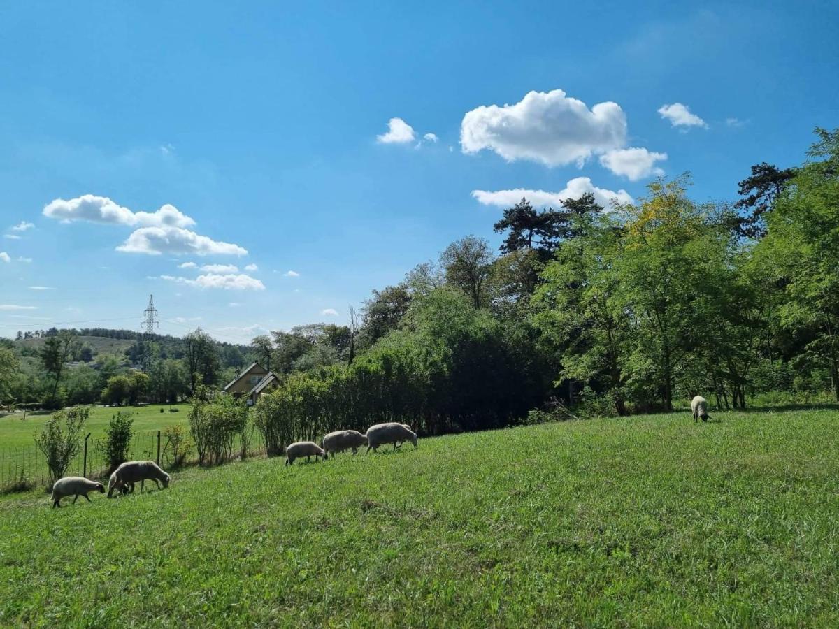 Pilikan Apartments - Park, Agroturism, Vineyard & Farm Cserszegtomaj Εξωτερικό φωτογραφία