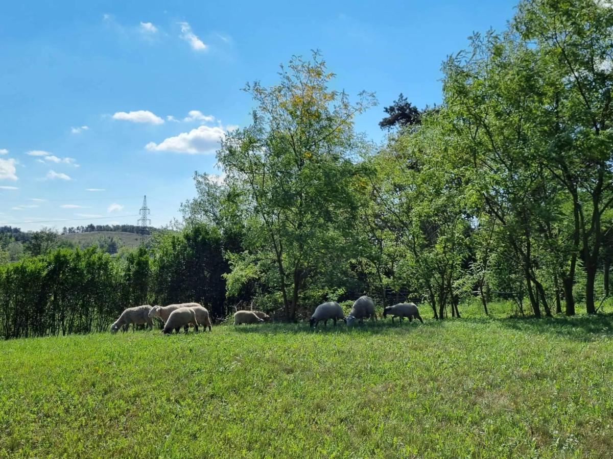 Pilikan Apartments - Park, Agroturism, Vineyard & Farm Cserszegtomaj Εξωτερικό φωτογραφία